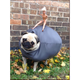 Illustration for article titled A Pug Dressed as a Wrecking Ball Might Win $25,000 in Costume Contest